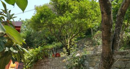 ALASSIO mit privatem Garten, TV / Wi-Fi, GRILL, MOTOR 50 CC