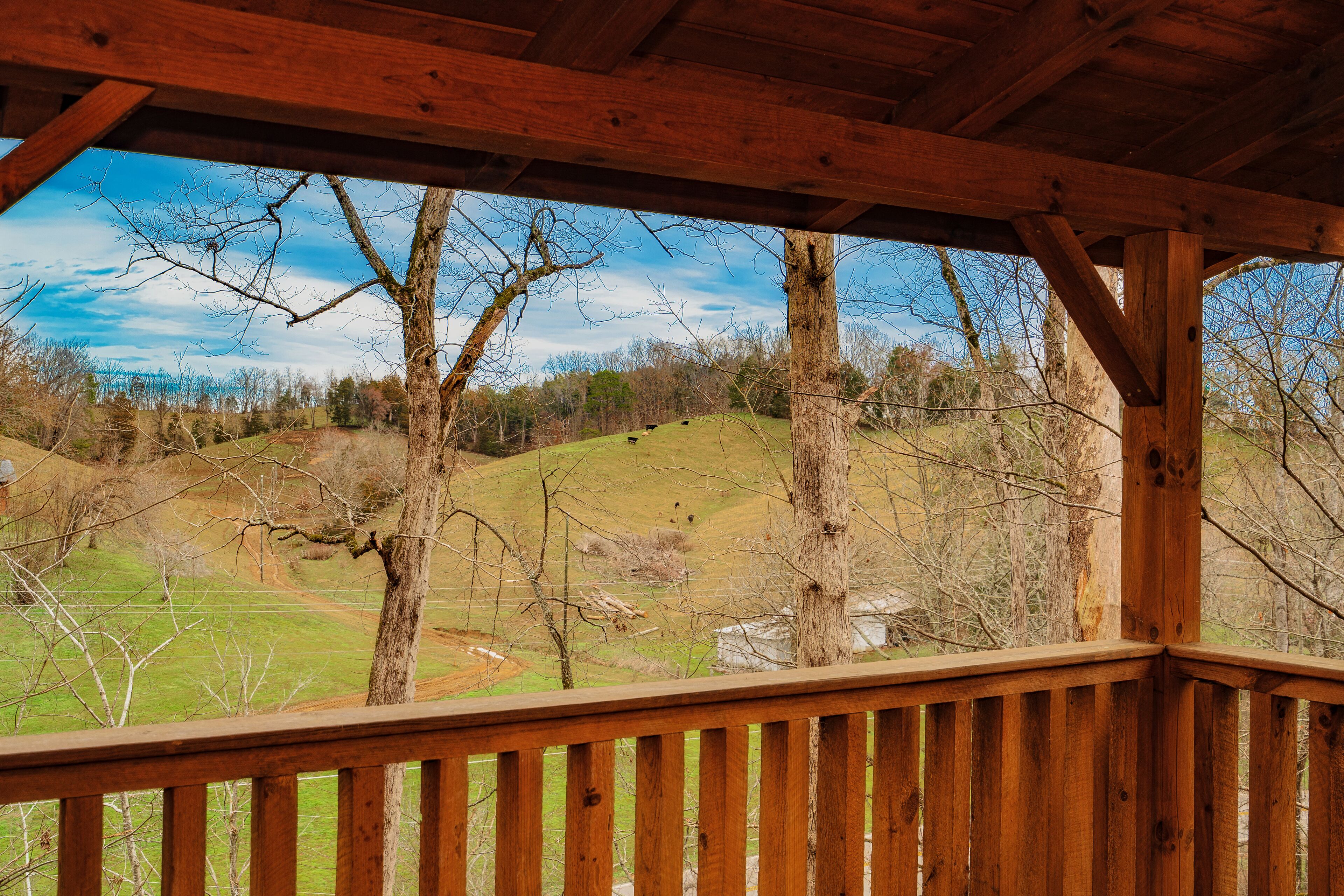 A wooden deck with a view of a grassy landscape and trees.