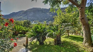 Un jardín con palmeras, flores rojas y un camino que lleva a un edificio.