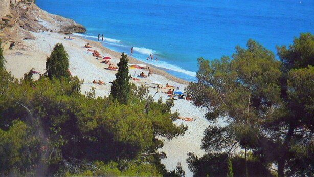 A beach with people sunbathing and swimming, surrounded by trees.