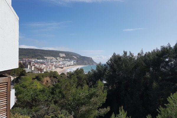 Vue sur la plage/l’océan