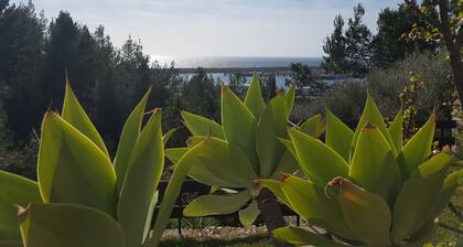 Maison de vacances en famille avec piscine, Ă 25 m de la plage