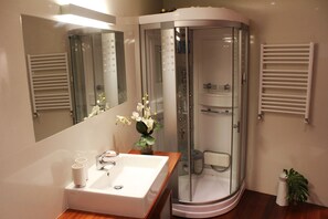 Combined shower/tub, hair dryer, towels, soap
