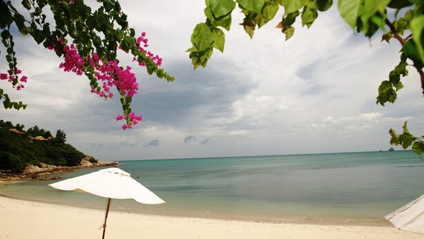 A beach with a white umbrella and two lounge chairs. - four bed room deluxe villa in beach resort idyllic samui (bpphut)