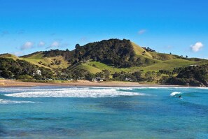 On the beach - Sandy Bay Beachfront - Holiday Home (Matapouri)
