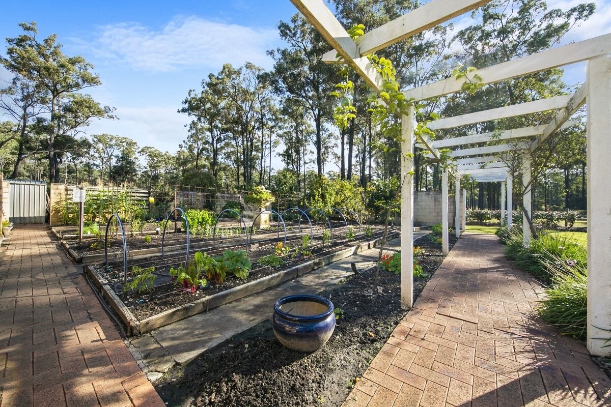 Olivier House - Lovedale — image 28