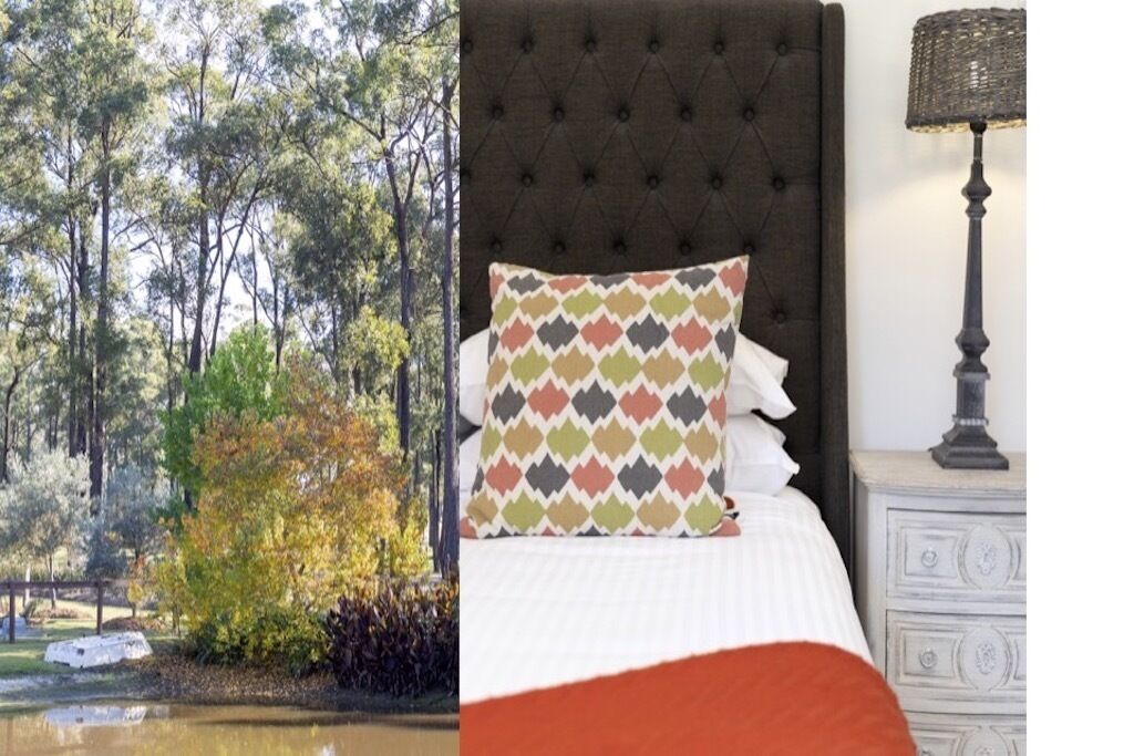Olivier House - Lovedale — image 23
