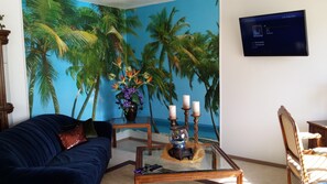 Älytelevisio, DVD-soitin