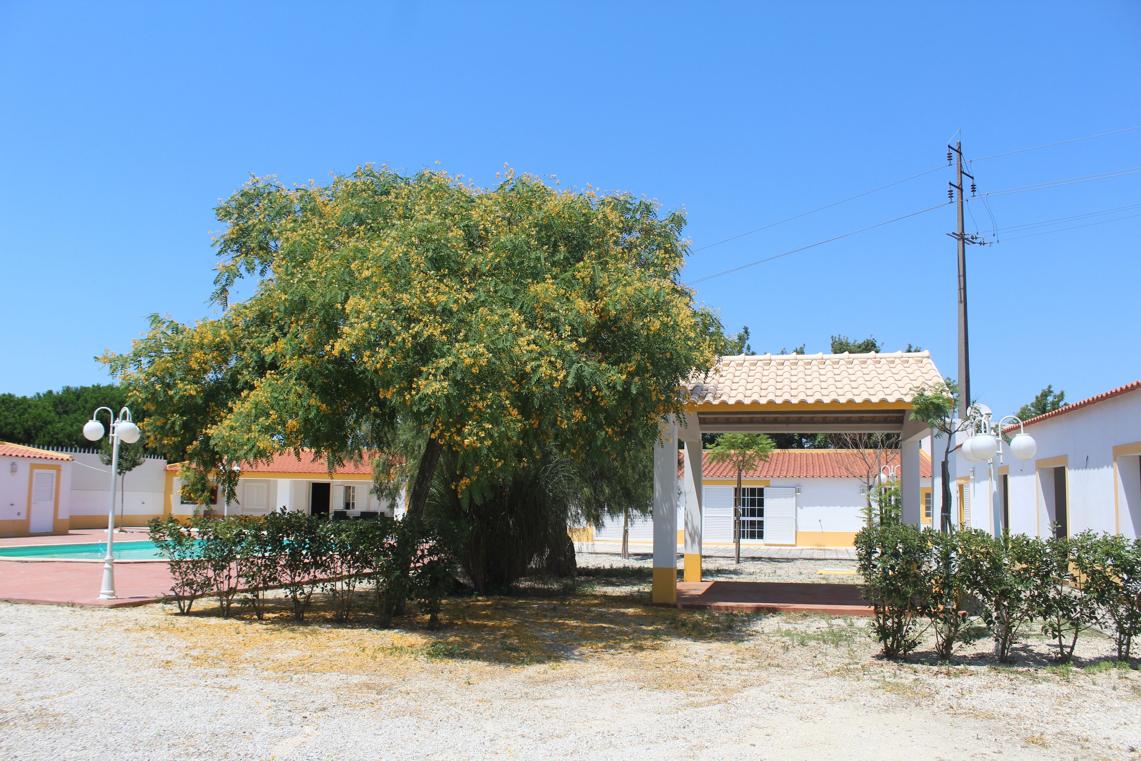 Alberca al aire libre 