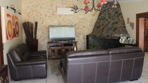 تلفزيون ذكي، مدفأة، ألعاب فيديو، مشغل دي في دي
