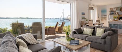 TV, fireplace, DVD player, books