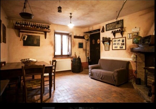 TV, fireplace, DVD player, books