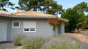 Ein Haus mit grauer Fassade, einem Ziegeldach und einem kleinen Garten mit Lavendel.