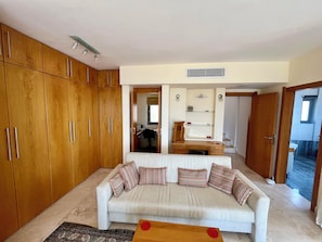 Smart TV, fireplace, DVD player, books
