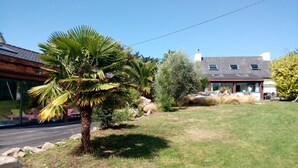 A modern house with a large lawn, a palm tree, and a stone wall. - Villa With Pool Indoor heated to 28 °, Jaccuzzi, Sauna (Lannion)