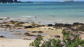Plage, chaises longues