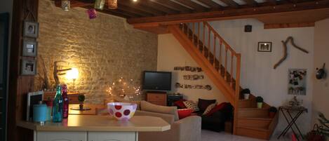 電視、DVD 播放機、書籍、影像庫