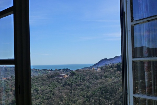 View from the blue bedroom
