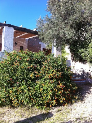 Detalle exterior