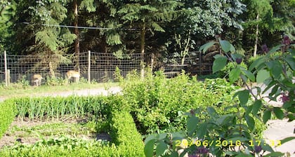 Ferme m. 3 indiv. Appartements, Terrass. , Maison br. , Agriculteurs. <br>