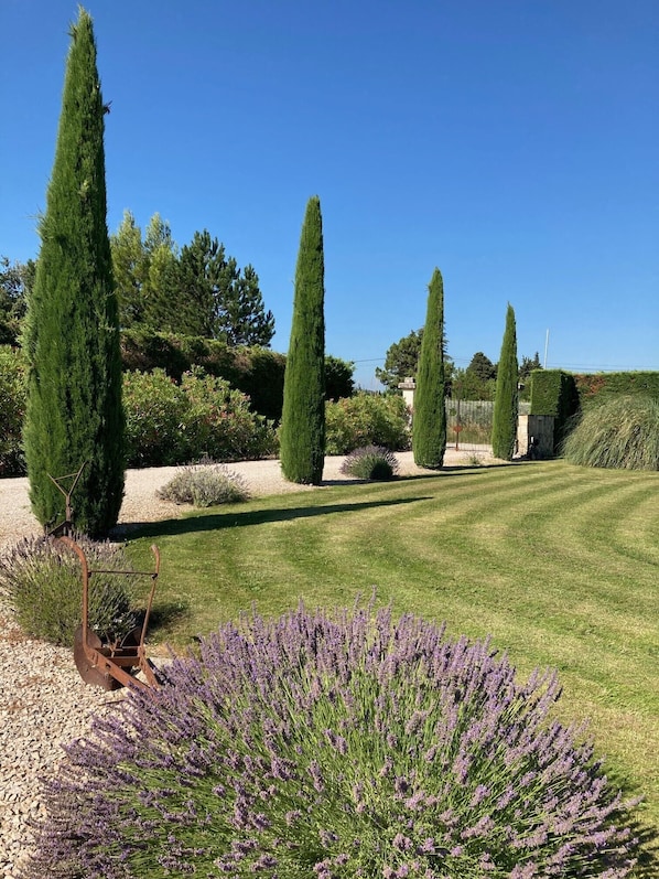 Un giardino curato con alti cipressi, un prato ben tagliato e un'aiuola di lavanda.