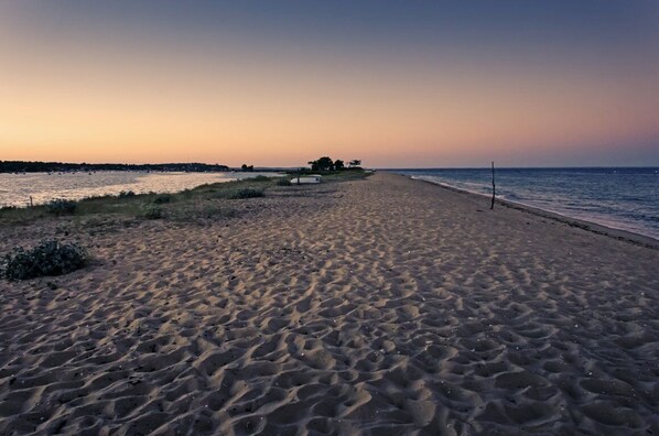 Playa en los alrededores