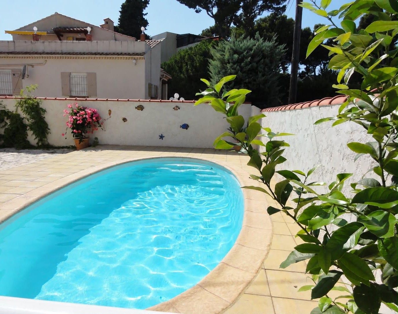 A swimming pool with a tiled edge, surrounded by a white wall with decorative fish tiles, and a potted plant with pink flowers.