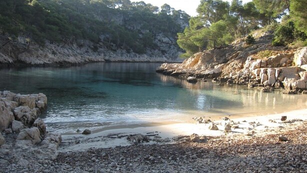 A rocky shoreline with clear water and a forested hill in the background. - Private pool & south-facing garden, absolute calm,  close to the sea. (La Ciotat)