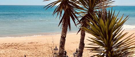 In StrandnĂ€he, LiegestĂŒhle