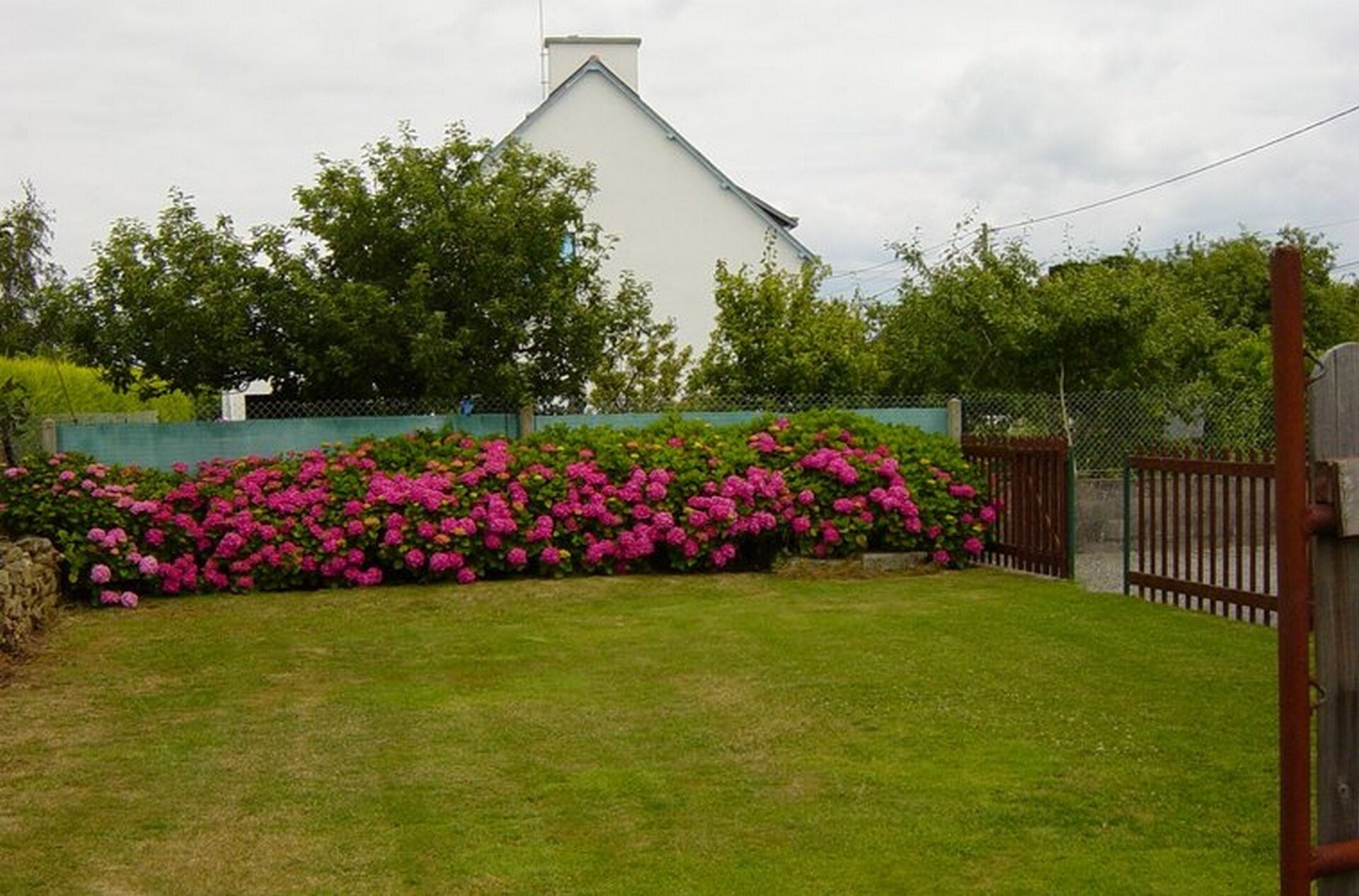 Il s’agit d’une propriété résidentielle dotée d’une pelouse bien entretenue, d’un grand arbuste à fleurs et d’une maison blanche avec un toit à pignon.