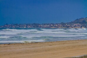 Beach - Rare beachfront, stand-alone, single family home. Very spacious! (San Diego)
