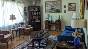 TV connectée, cheminée, lecteur de DVD, livres