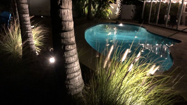 A swimming pool surrounded by palm trees and plants, with a covered area and string lights in the background. - A Shore Thing - Relaxing Island Living , Large Heated Pool, Boat Lift (Holmes Beach)