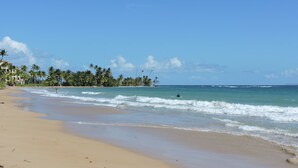 A beach with clear skies, palm trees, and ocean waves.