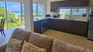 A modern living room with a sofa and decorative pillows, a kitchen with dark wooden cabinets, and a large window offering a view of the ocean.