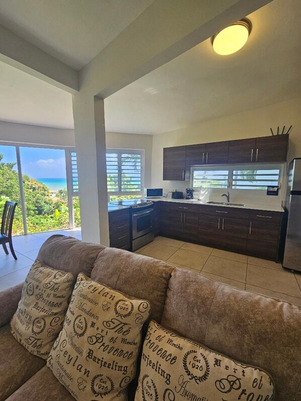 Smart TV, DVD player, stereo - Luxury Villa with Spectacular Ocean View, Newly Renovated and Updated (Humacao)