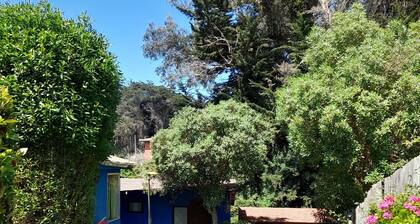 CABAÑAS ISLA NEGRA 2019