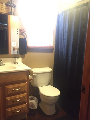 Combined shower/tub, hair dryer, towels, soap
