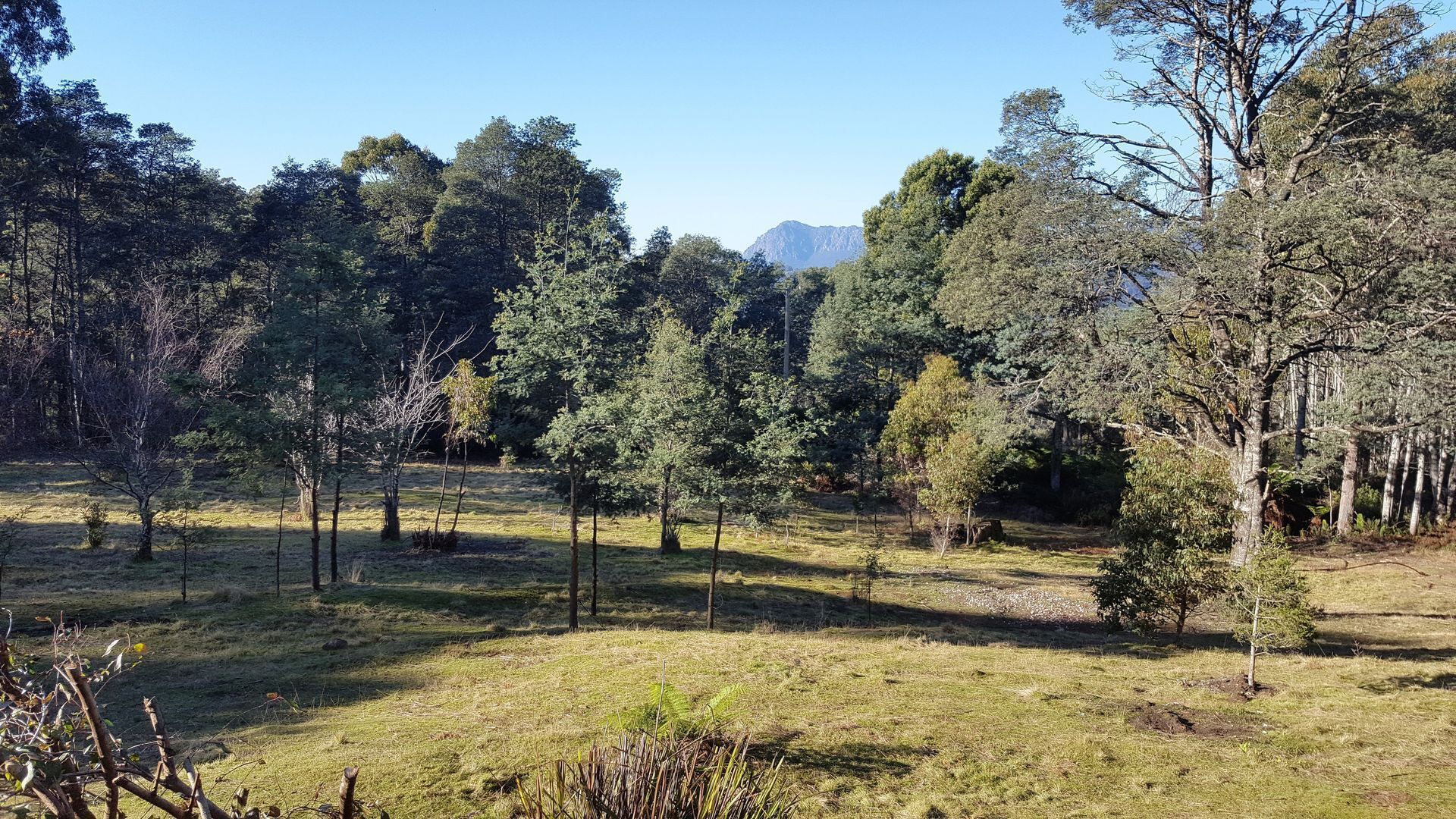 Cradle Alpine Retreat : - Cradle Cottage (2 bedrooms) — image 23