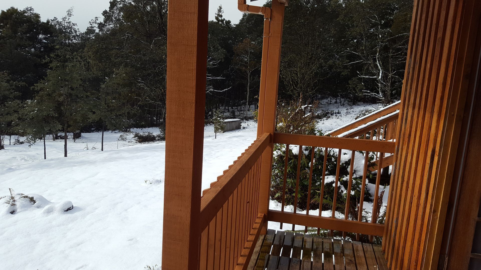 Cradle Alpine Retreat : - Cradle Cottage (2 bedrooms) — image 11