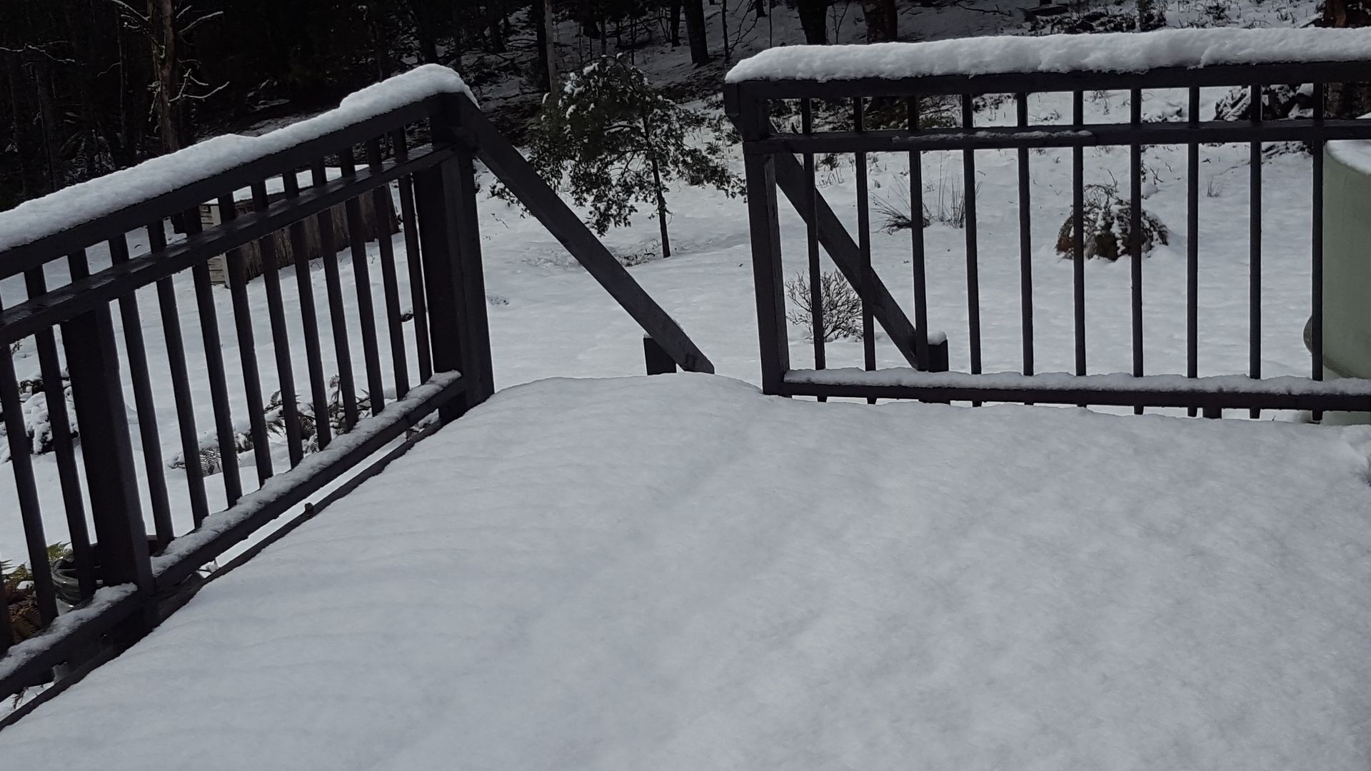 Cradle Alpine Retreat : - Cradle Cottage (2 bedrooms) — image 2