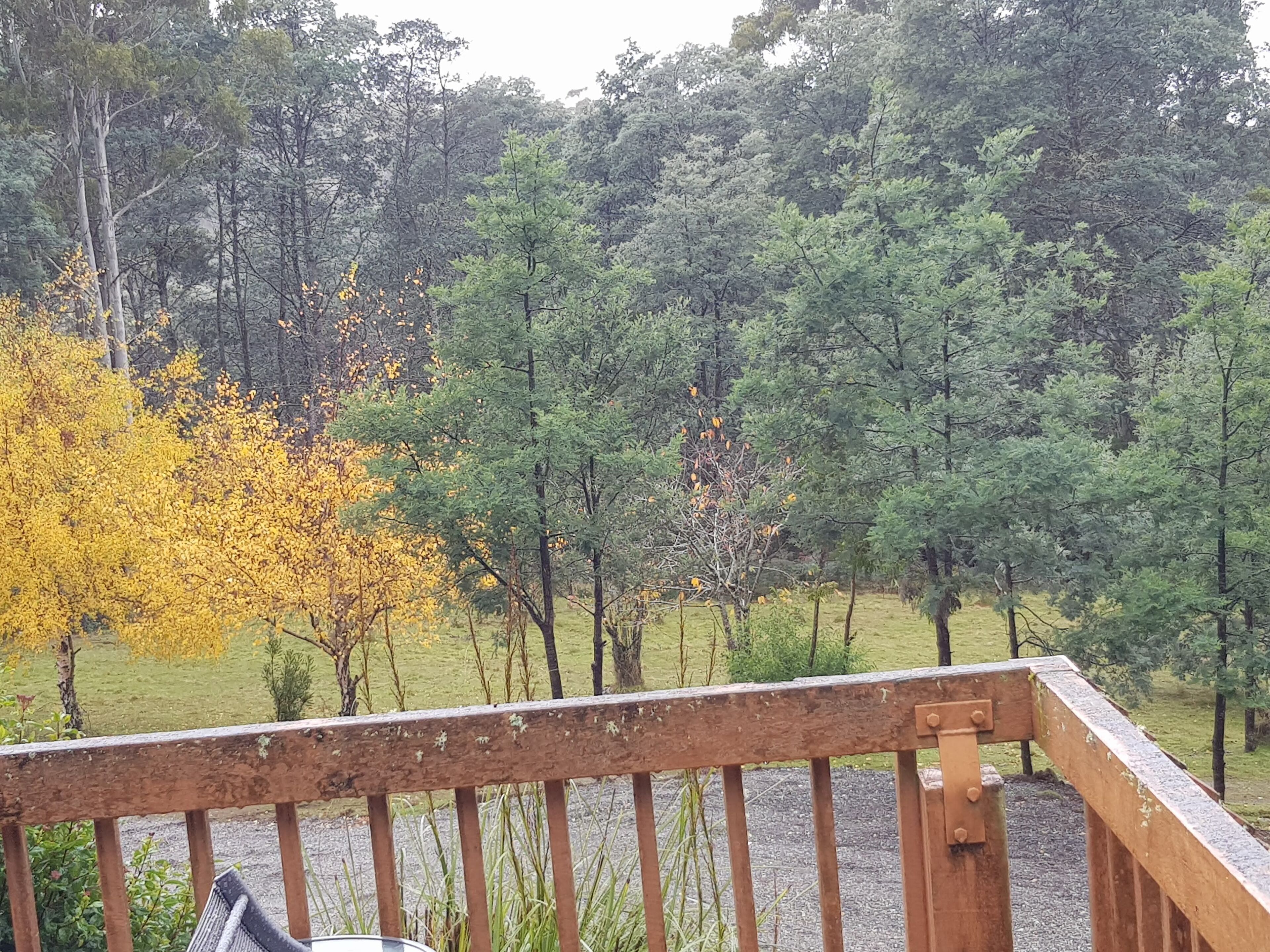 Cradle Alpine Retreat : - Cradle Cottage (2 bedrooms) — image 12