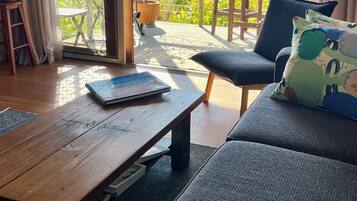 Smart TV, DVD player, books