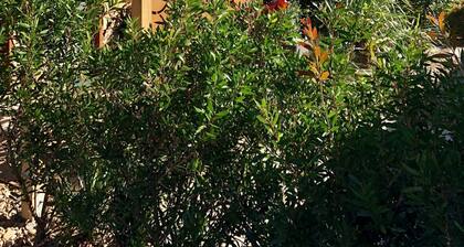 Escape to Bangalow, Byron Hinterland accommodation with stunning views