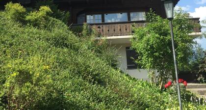 Charmantes Chalet im Familienstil mit direktem Blick auf den Rinderberg