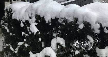 Charmant chalet de style familial avec vue imprenable sur le Rinderberg