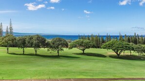 Ein Golfplatz mit freiem Blick auf das Meer und einer Baumreihe im Vordergrund.
