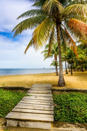 A wooden pathway leading to a beach with palm trees and a view of the ocean.