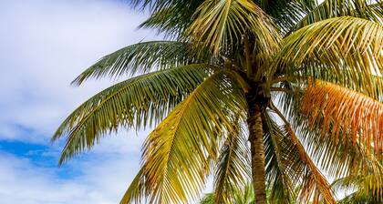 HGTV-CASITA for 2 w/ Pool, 400 foot dock, on half acre-PEACEFUL & convenient