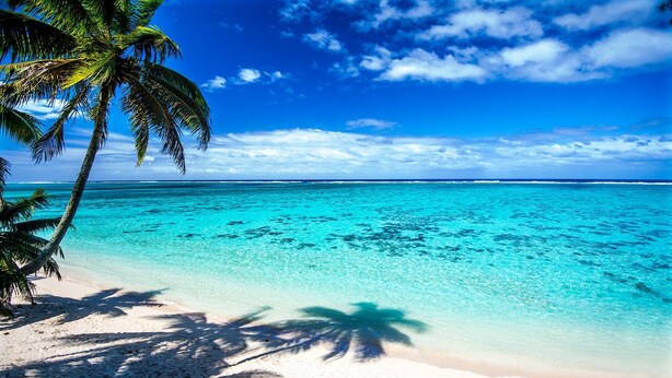 A beach with clear turquoise water, white sand, and palm trees. - Great Value steps from Muri Beach with Kayaks, Paddle Boards, Pool, Free WIFI ! (Muri Beach)
